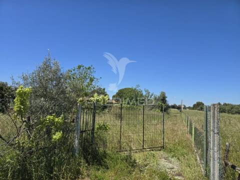 Casa típica para recuperar - grândola