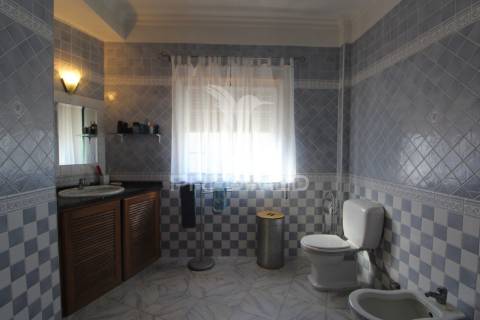 Mordia t5 com logradouro generoso