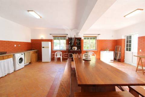 Mordia t5 com logradouro generoso