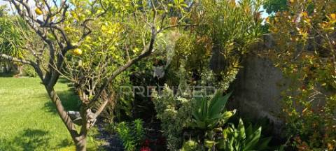 Moradia t3 com terreno de  2.640m²