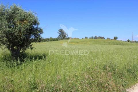 Terreno rústico com ruína - alcorochel, torres novas