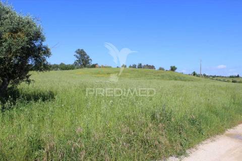 Terreno rústico com ruína - alcorochel, torres novas