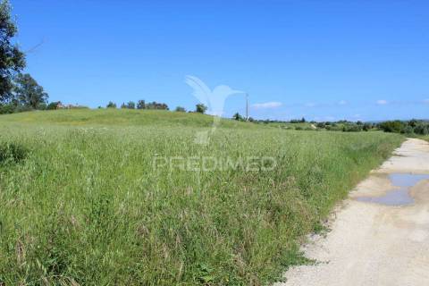 Terreno rústico com ruína - alcorochel, torres novas