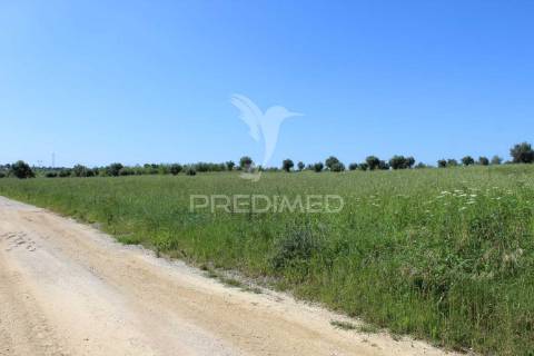 Terreno rústico com ruína - alcorochel, torres novas