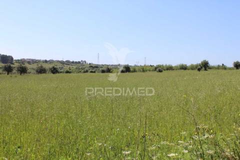 Terreno rústico com ruína - alcorochel, torres novas