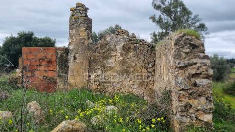 Terreno rústico com ruína - alcorochel, torres novas