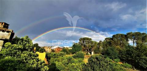 Moradia com 2 quartos com terreno - renovada - viseu - nelas