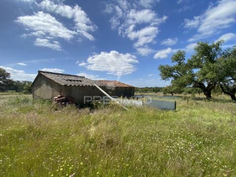 Herdade com ruína para reconstruir
