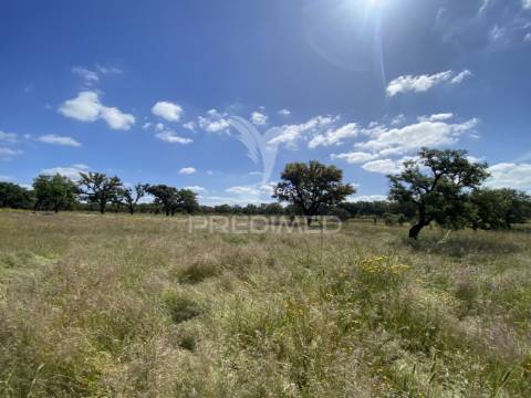 Herdade com ruína para reconstruir
