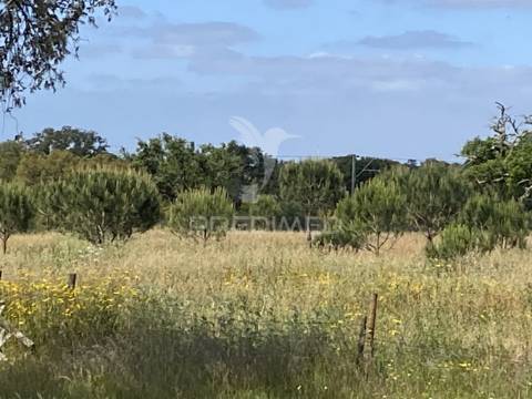 Herdade com ruína para reconstruir