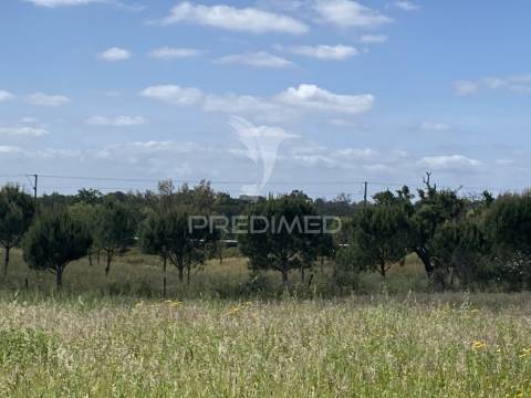 Herdade com ruína para reconstruir