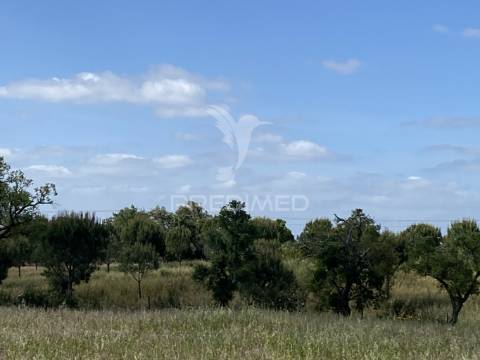 Herdade com ruína para reconstruir