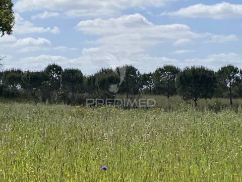 Herdade com ruína para reconstruir