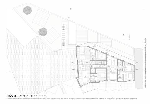 T2 leça de palmeira