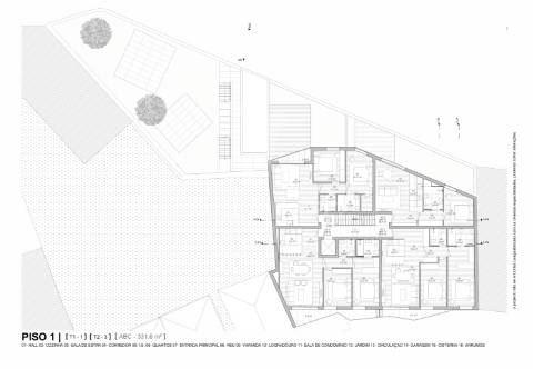 T2 leça de palmeira