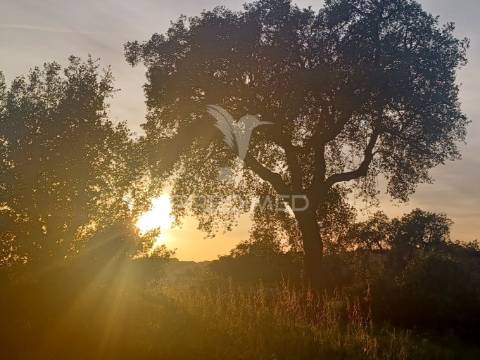 Quinta em portalegre