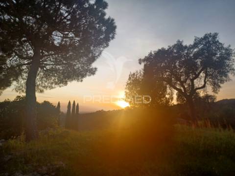 Quinta em portalegre