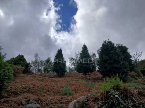 Terreno urbano no santo da serra