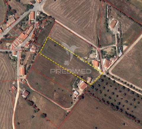 Terrreno com 5250 m2, com casa para recuperar