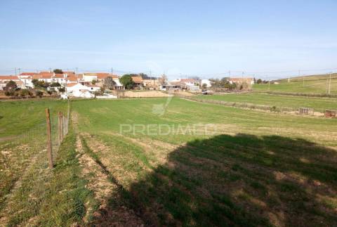 Terrreno com 5250 m2, com casa para recuperar