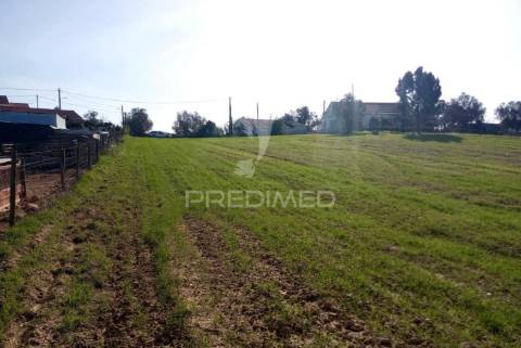 Terrreno com 5250 m2, com casa para recuperar