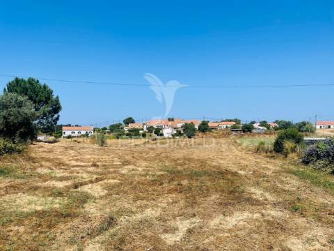 Terrreno com 5250 m2, com casa para recuperar