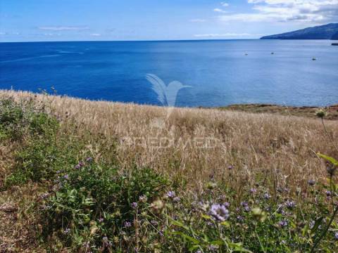 Terreno premium com vista mar no caniçal-ideal para projeto turìstico