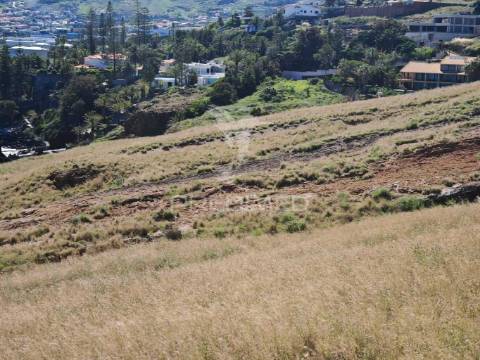 Terreno premium com vista mar no caniçal-ideal para projeto turìstico