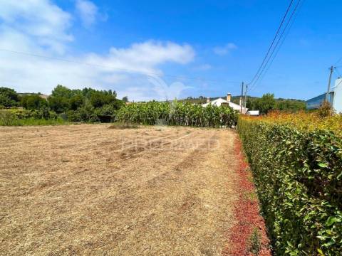 Moradia de 308 m2, inserida num terreno com 4.087 m2