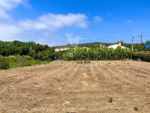 Moradia de 308 m2, inserida num terreno com 4.087 m2