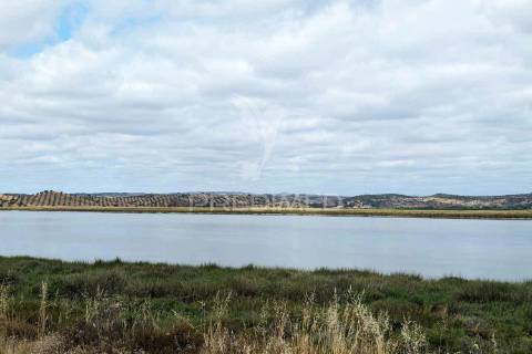 Terreno rústico na margem do guadiana, com 106ha