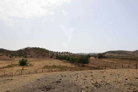 Terreno rústico na margem do guadiana, com 106ha