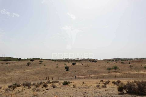 Terreno rústico na margem do guadiana, com 106ha