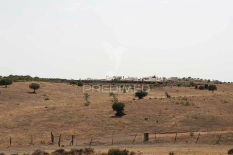 Terreno rústico na margem do guadiana, com 106ha