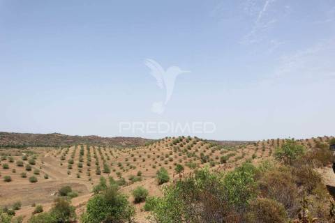 Terreno rústico na margem do guadiana, com 106ha