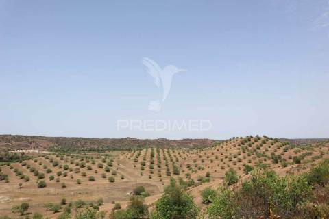 Terreno rústico na margem do guadiana, com 106ha