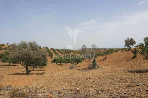 Terreno rústico na margem do guadiana, com 106ha