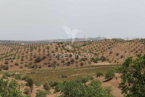 Terreno rústico na margem do guadiana, com 106ha