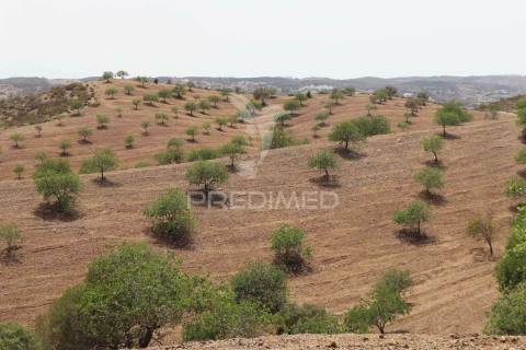 Terreno rústico na margem do guadiana, com 106ha