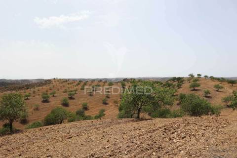 Terreno rústico na margem do guadiana, com 106ha