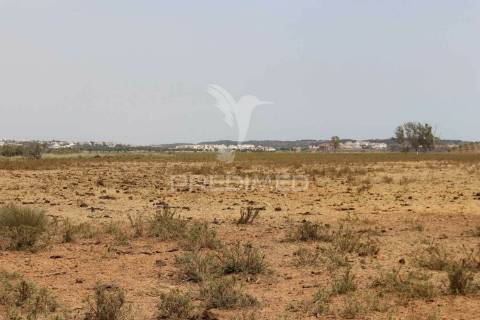 Quinta junto ao guadiana, 357ha, com ruínas com 1623m2