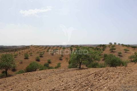 Quinta junto ao guadiana, 357ha, com ruínas com 1623m2