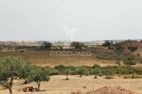 Quinta junto ao guadiana, 357ha, com ruínas com 1623m2