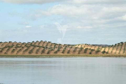 Quinta junto ao guadiana, 357ha, com ruínas com 1623m2