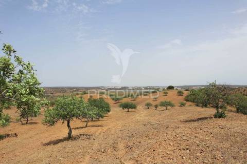 Terreno misto junto ao guadiana, 357ha, e ruínas com 1623m2