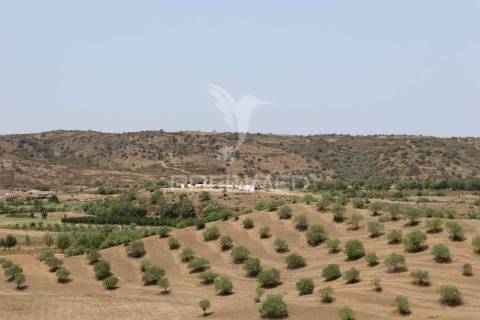 Terreno misto junto ao guadiana, 357ha, e ruínas com 1623m2