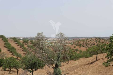 Terreno misto junto ao guadiana, 357ha, e ruínas com 1623m2