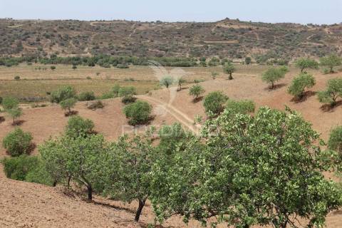 Terreno misto junto ao guadiana, 357ha, e ruínas com 1623m2