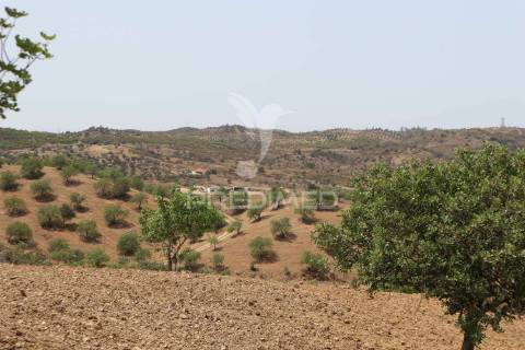 Terreno misto com vista do guadiana, 126ha, com ruína de 618m2