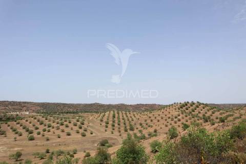 Terreno misto com vista do guadiana, 126ha, com ruína de 618m2